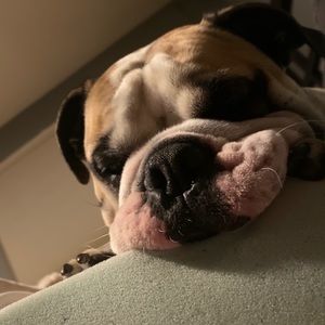 Meet your Posher, Cameron